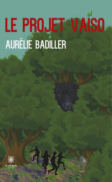Le projet Vaiso - Aurélie Badiller