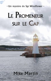 Le promeneur sur le cap