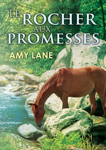 Le rocher aux promesses - Amy Lane