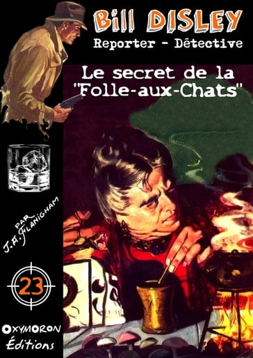 Le secret de la Folle-aux-Chats - J.A. Flanigham