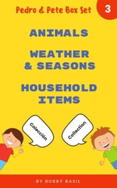 Learn Basic Spanish to English Words: Animals  Weather & Seasons  Household Items