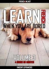 Learn French when you are bored (4 hours 58 minutes) - Vol 3 (+ AUDIO)