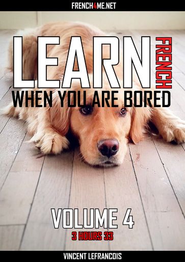 Learn French when you are bored (3 hours 33) - Vol 4 (+ AUDIO) - Vincent Lefrancois