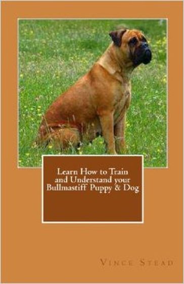 Learn How to Train and Understand your Bullmastiff Puppy & Dog - Vince Stead