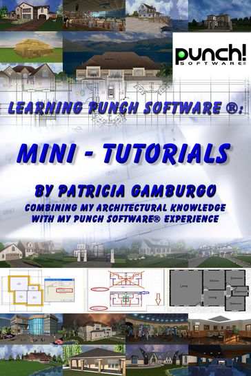 Learning Punch Software (R): Mini - Tutorials - Patricia Gamburgo