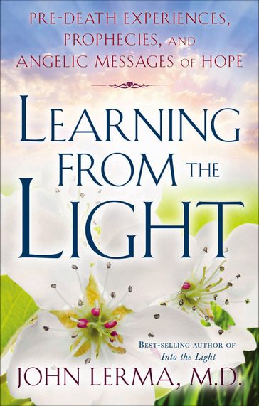 Learning from the Light - John Lerma