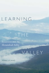 Learning the Valley