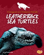 Leatherback Sea Turtles
