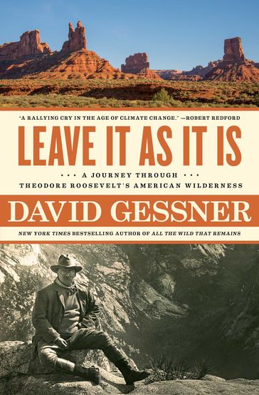 Leave It As It Is - David Gessner