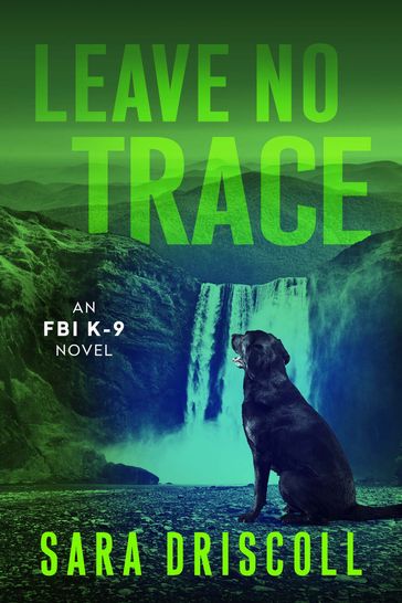 Leave No Trace - Sara Driscoll