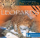 Leopards