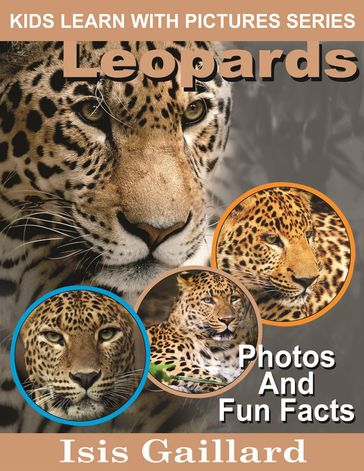 Leopards Photos and Fun Facts for Kids - Isis Gaillard