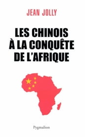 Les Chinois à la conquête de l Afrique