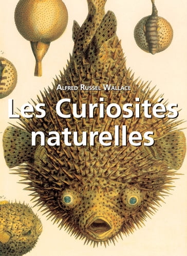 Les Curiosités naturelles - Alfred Russel Wallace