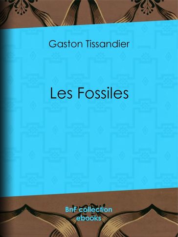 Les Fossiles - Collectif - Gaston Tissandier