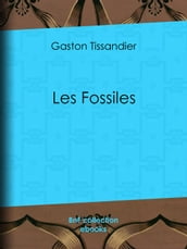 Les Fossiles