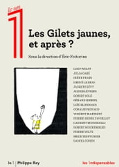 Les Gilets jaunes, et après ?