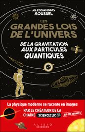 Les Grandes Lois de l Univers : De la gravitation aux particules quantiques