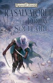 Les Lames du Chasseur, T2 : Le Drow Solitaire