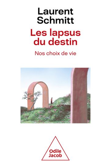 Les Lapsus du destin, nos choix de vie - Laurent Schmitt