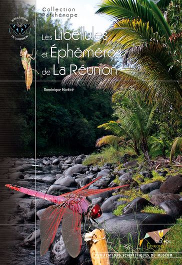 Les Libellules et Éphémères de la Réunion - Dominique Martiré