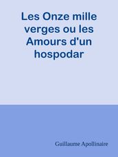 Les Onze mille verges ou les Amours d un hospodar