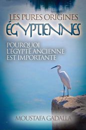 Les Pures Origines Égyptiennes: Pourquoi L Égypte Ancienne Est Importante