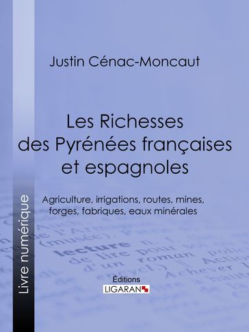 Les Richesses des Pyrénées françaises et espagnoles - Justin Cénac-Moncaut - Ligaran