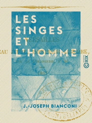 Les Singes et l'Homme - J.-Joseph Bianconi