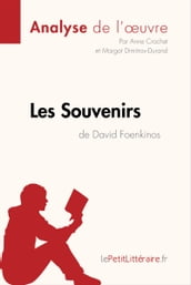 Les Souvenirs de David Foenkinos (Analyse de l oeuvre)