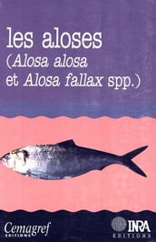 Les aloses (Alosa alosa et Alosa fallax spp.)