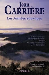 Les années sauvages