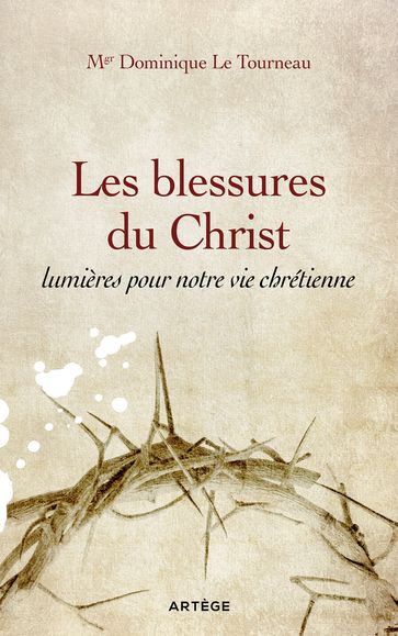 Les blessures du Christ, lumières pour notre vie chrétienne - Mgr Dominique Le Tourneau