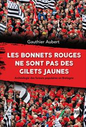 Les bonnets rouges ne sont pas des gilets jaunes