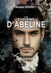 Les chemins d Abeline - Tome 3