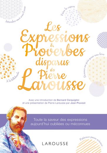 Les expressions disparues de Pierre Larousse - Collectif