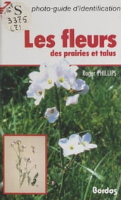 Les fleurs des prairies et talus