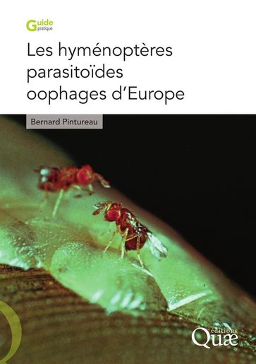 Les hyménoptères parasitoïdes oophages d'Europe - Bernard PINTUREAU