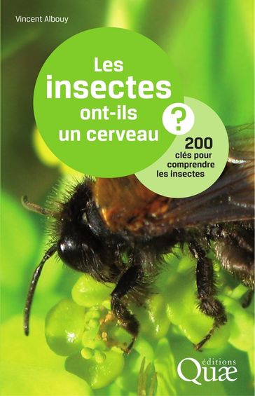 Les insectes ont-ils un cerveau ? - Vincent Albouy