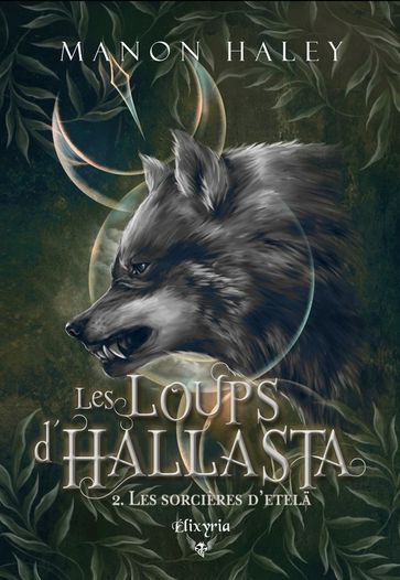 Les loups d'Hallasta - 2 - Les sorcières d'Etelä - Manon Haley