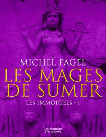 Les mages de Sumer - Michel Pagel