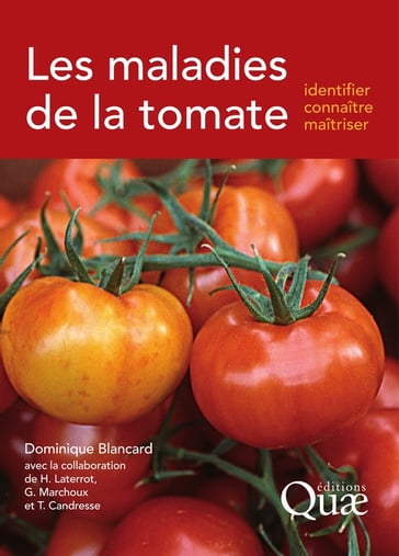 Les maladies de la tomate - Dominique Blancard