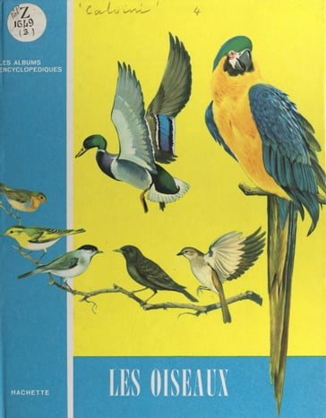 Les oiseaux - Victor Calvini