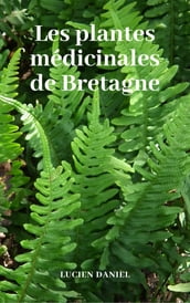 Les plantes médicinales de Bretagne