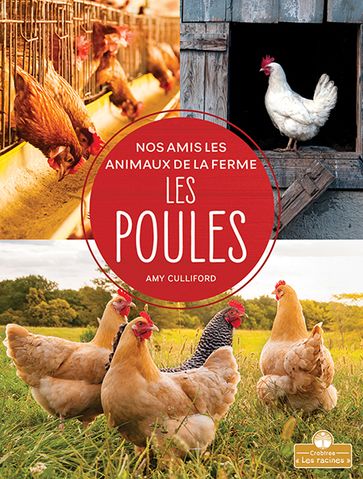 Les poules (Chickens) - Amy Culliford