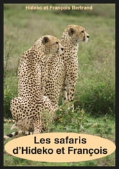 Les safaris d Hideko et François