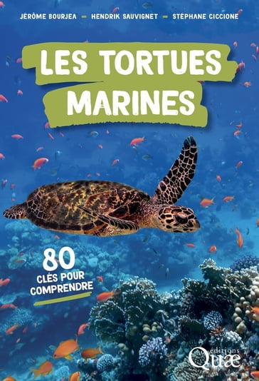 Les tortues marines - Jérôme Bourjea - Hendrik Sauvignet - Stéphane Ciccione