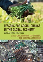 Lessons for Social Change in the Global Economy