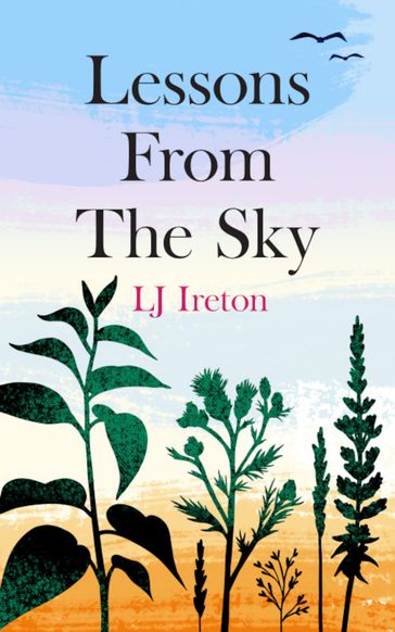 Lessons from the Sky - LJ Ireton