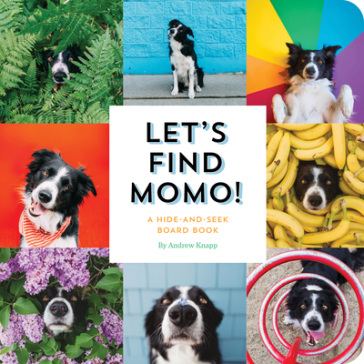 Let's Find Momo! - Andrew Knapp